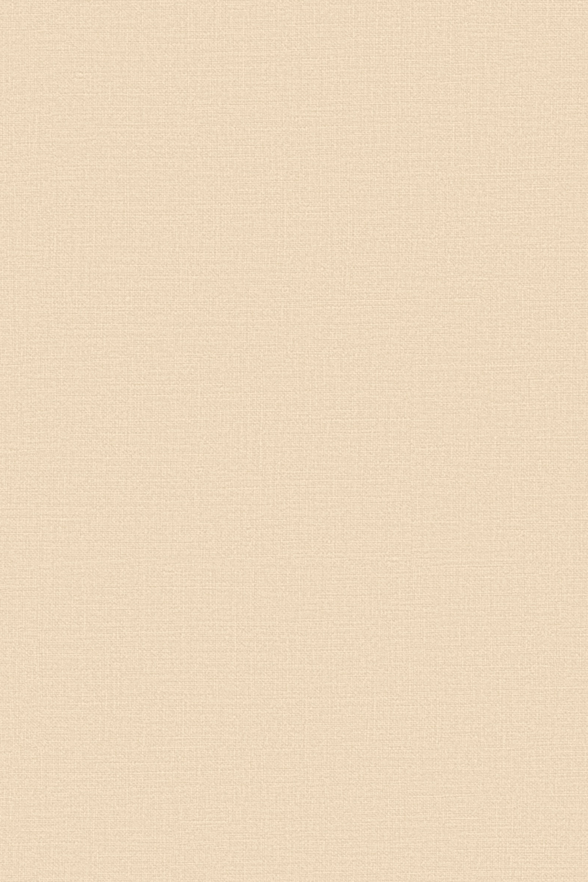 21507-3 Kampanya Duvar Kağıdı - Görsel 1