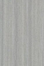 Evo Duvar Kağıdı - Görsel 2